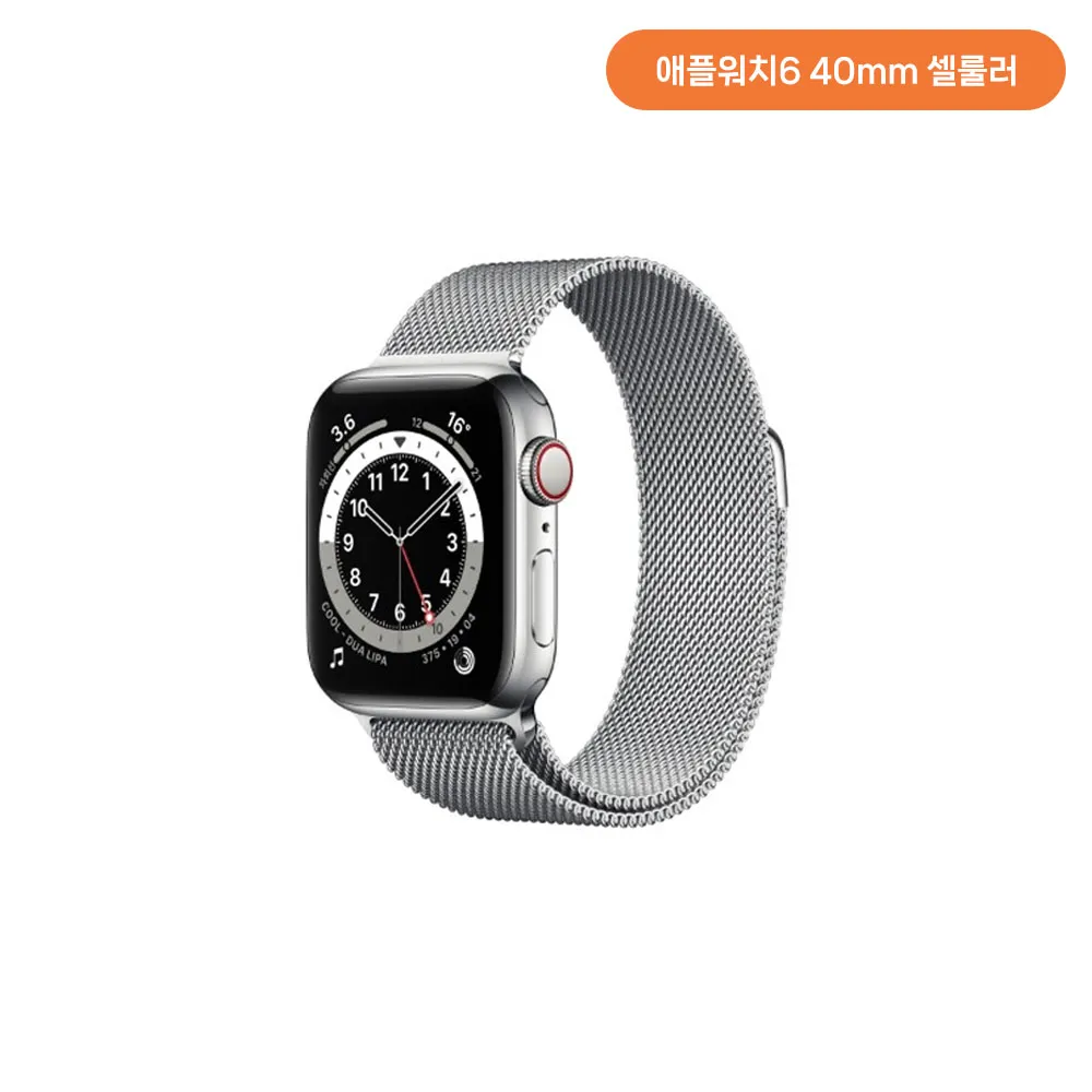 [단순변심]애플워치6 40mm GPS+Cellular (실버색상) + (스테인리스 케이스/실버 스테인리스 밀레니즈 루프) M06U3KH/A (업체별도 무료배송)[중고상품][오픈박스]