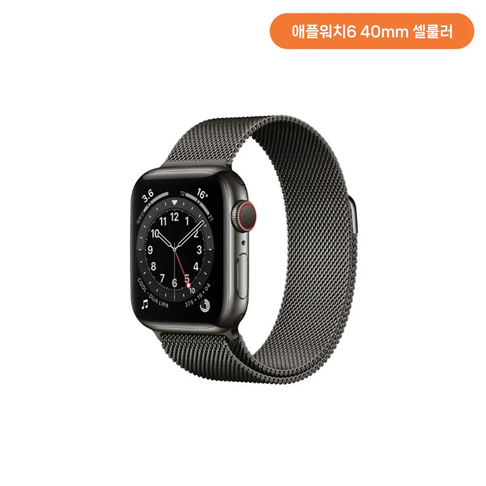 [단순변심]애플워치6 40mm GPS+Cellular (그래파이트 색상) +(스테인리스 케이스/그래파이트 스테인리스 밀레니즈 루프) M06Y3KH/A (업체별도 무료배송)[중고상품][오픈박스]