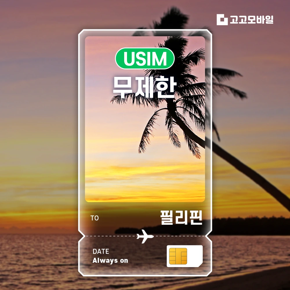 필리핀 유심 USIM 매일 2GB 무제한 (3일/4일/5일/6일) (~16:00 주문 시 당일 발송)