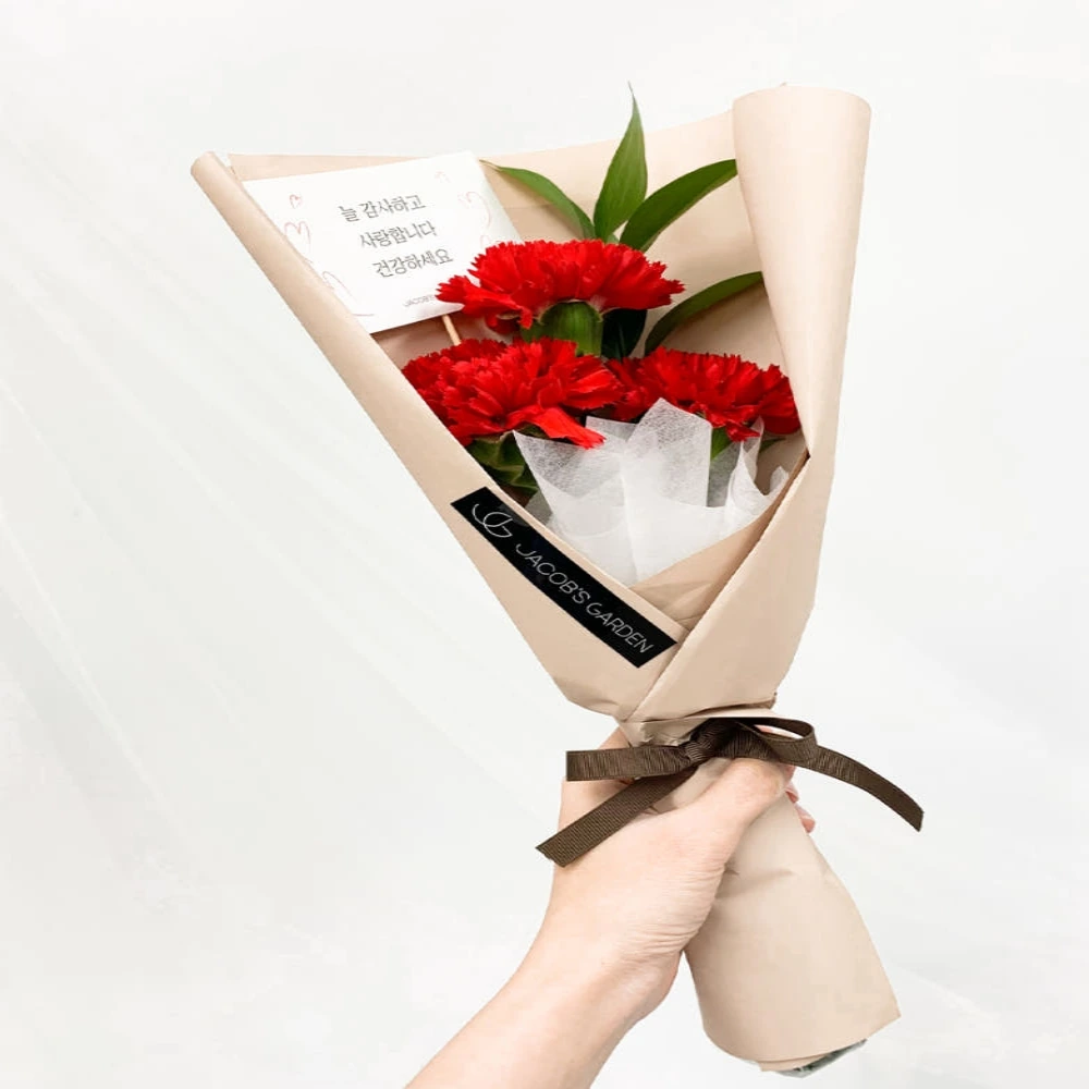 [카네르] 생화 카네이션 꽃다발 미니 (색상/택1) (업체별도 무료배송)