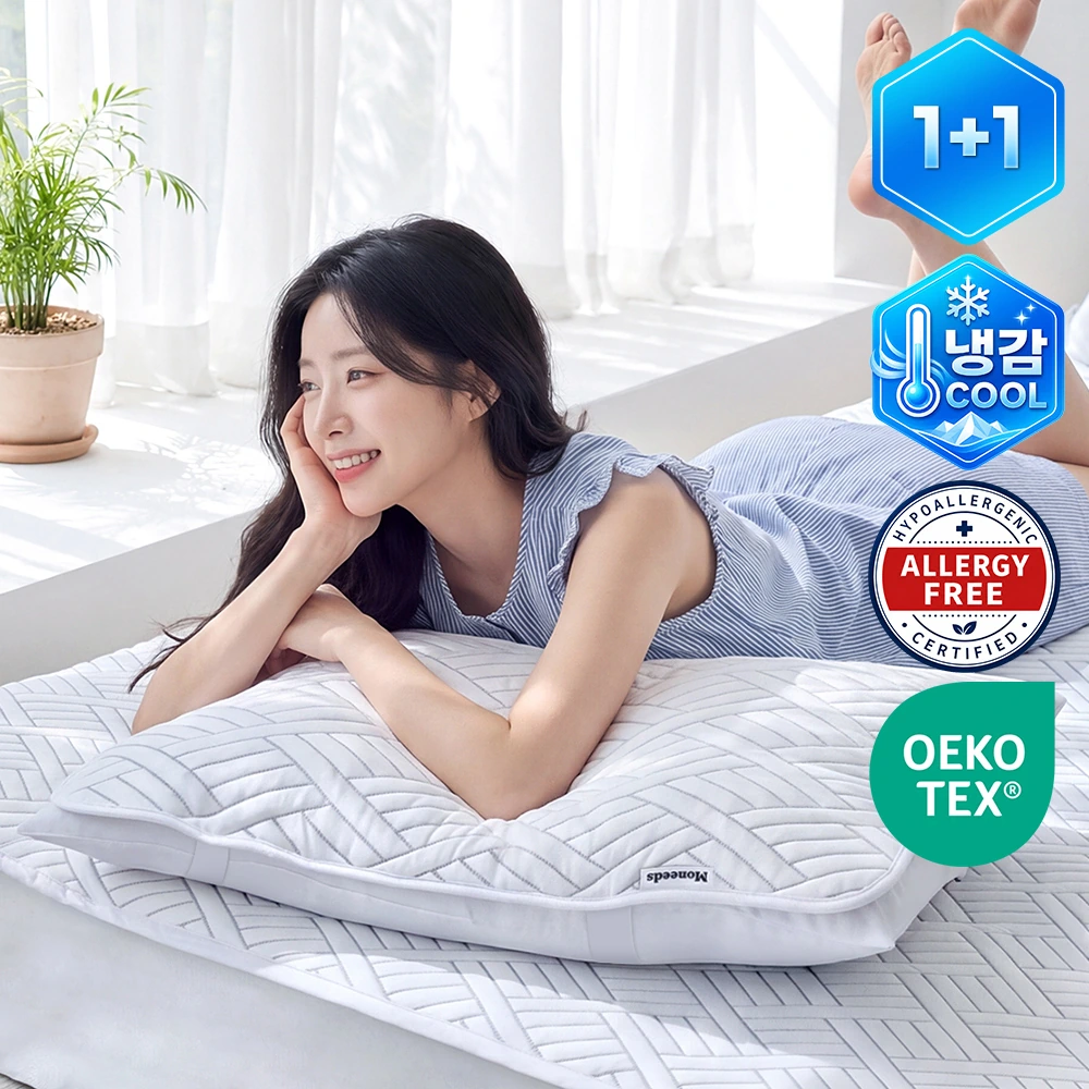 [1+1] 아이스 쿨텍스 베개커버 냉감소재 밴딩 덧베개 (총 2P) (업체별도 무료배송)